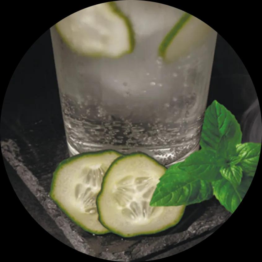 Cucumber Riviera