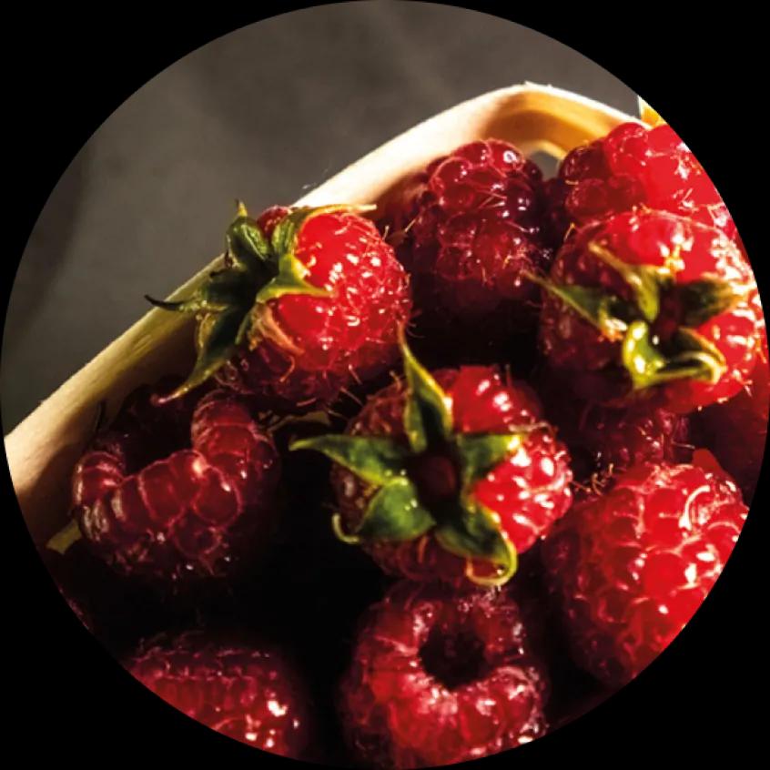 Russian Berry