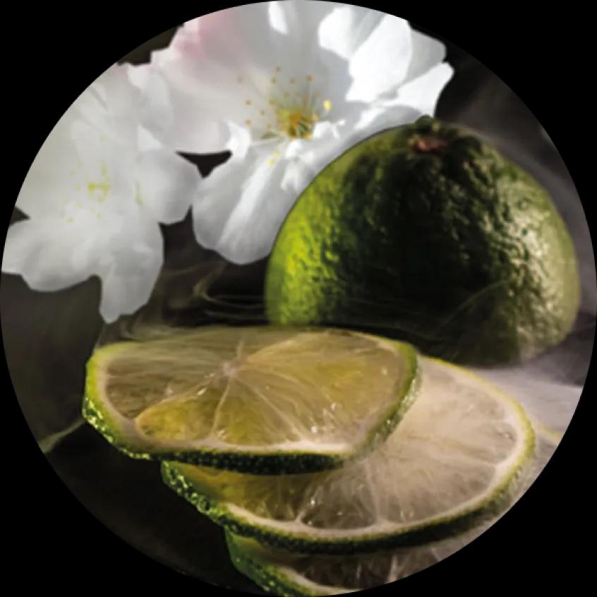 Indonesian Citrus