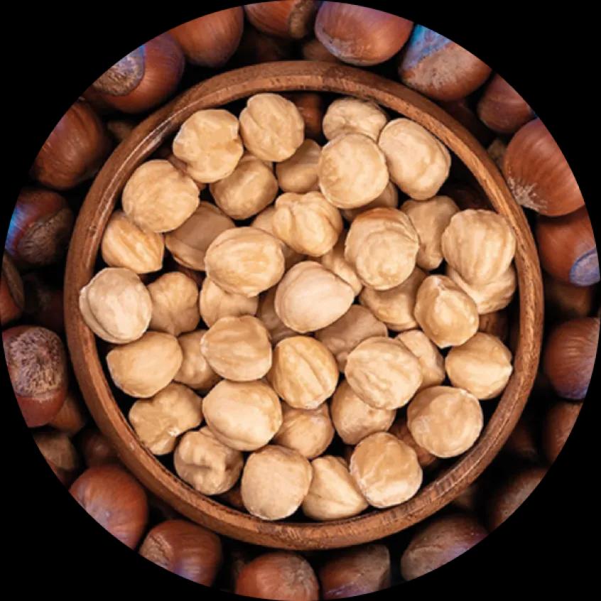 Lombardy Nut